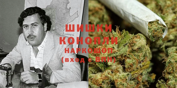ECSTASY Лиски