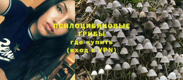 ECSTASY Лиски