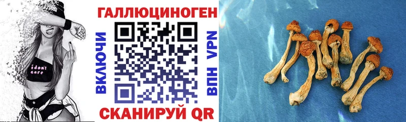 Галлюциногенные грибы GOLDEN TEACHER  Юрьевец 